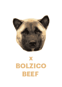 beef bolzico