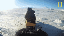 Snowmobiling World Penguin Day GIF - Snowmobiling World Penguin Day Emperor Penguins GIFs