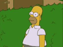 homer disappear