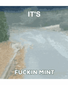 mint its mint fucking mint fuckin mint its fucking mint