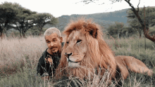 relaxing dean schneider lion chilling wildlife