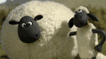 shaun the sheep stop motion wallace and gromit searching looking