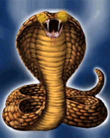 Snake Cobra GIF - Snake Cobra Fangs GIFs