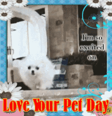Excited Love Your Pet Day GIF - Excited Love Your Pet Day Dogs GIFs