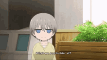 Are You Ok Sign You Okay Over There GIF - Are You Ok Sign You Okay Over There Anime GIFs