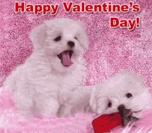 Happy Valentines Day Puppy GIF - Happy Valentines Day Puppy Puppies GIFs