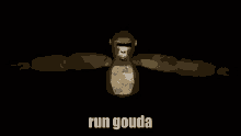 Run Gouda Run GIF - Run Gouda Run Gouda GIFs