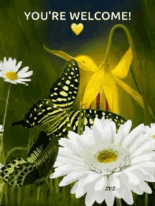 Flowers Butterflies GIF - Flowers Butterflies Fly GIFs