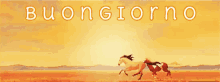spirit the stallion of the cimarron have a nice day goodmorning hi hello