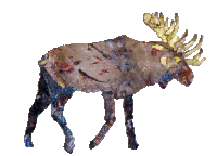 Kaybid Deer Sticker - Kaybid Deer Loop Stickers