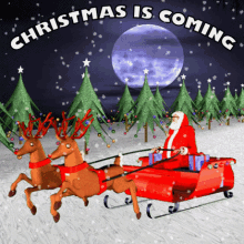 Christmas Is Coming Christmas GIF - Christmas Is Coming Christmas Christmas Trees GIFs