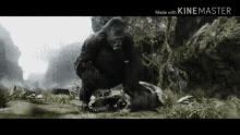 King Kong Kong Battles The T Rexes GIF - King Kong Kong Battles The T Rexes Ggkong GIFs