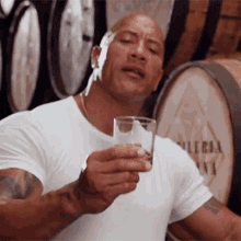 Cheers The Rock GIF - Cheers The Rock Dwayne Johnson GIFs