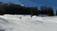 Esquiar Ski GIF - Esquiar Ski Ski La Norma GIFs