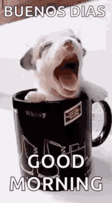 Puppy Cup GIF - Puppy Cup Good Morning GIFs