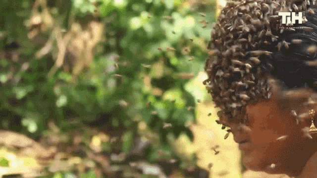Bee This Is Happening GIF - Bee This Is Happening Hive GIFs