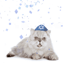 Purim Cat GIF - Purim Cat Jewish GIFs