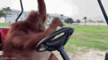 Jungle Japes Monkey GIF - Jungle Japes Monkey Golf Cart GIFs