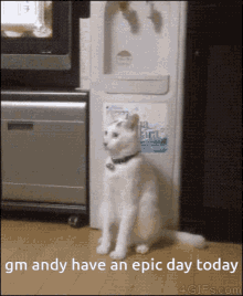 good morning gm andy have an epic day epic day
