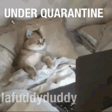 Bed Being Safe GIF - Bed Being Safe Lafuddyduddy GIFs