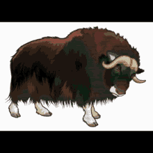 Buffalo Buffaloed GIF - Buffalo Buffaloed GIFs