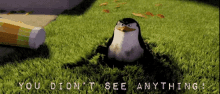 Cantsee You Dont See Anything GIF - Cantsee You Dont See Anything Madagascar GIFs