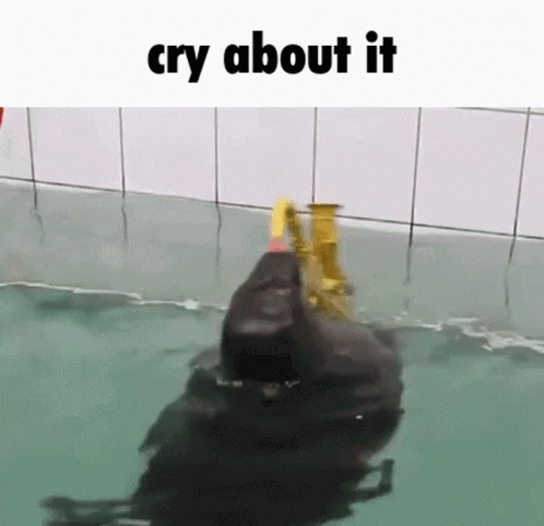 Cry More GIF - Cry More About - Discover &amp; Share GIFs