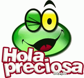 Hola Preciosa,wink,frog,hell,hi,gif,animated gif,gifs,meme.