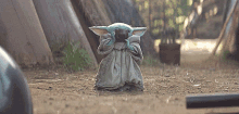 baby yoda baby yoda tea baby yoda soup baby yoda baby yoda tea baby yoda soup