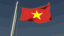 Vietnam Flag GIF - Vietnam Flag Flag Waver GIFs