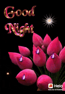 good dreams