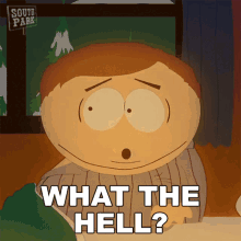 What The Hell Eric Cartman GIF - What The Hell Eric Cartman South Park GIFs
