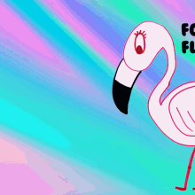 forthright flamingo veefriends straightforward honest direct