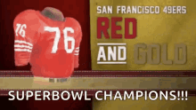 49ers San Francisco49ers GIF - 49ers San Francisco49ers Super Bowl Champions GIFs