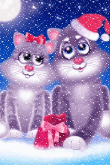 cats santa hat snowing in love