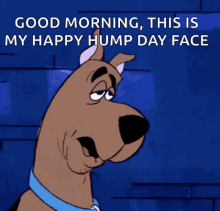 Scooby Doo Sleepy GIF - Scooby Doo Sleepy Tired GIFs