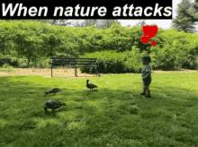 Nature Attacks GIF - Nature Attacks When Nature Attacks GIFs