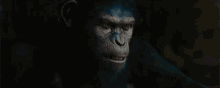 Planet Of The Apes Caesar GIF - Planet Of The Apes Caesar No GIFs