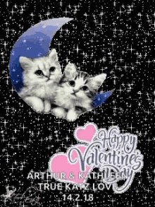 Happy Valentine Day Cats GIF - Happy Valentine Day Cats GIFs