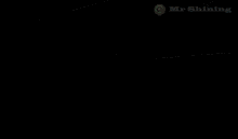 lidl earth