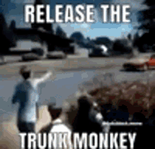 Bruh Moment Release The Trunk Monkey GIF - Bruh Moment Release The Trunk Monkey Chase GIFs