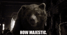 The Jungle Book Baloo GIF - The Jungle Book Baloo How Majestic GIFs