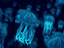 Jellyfish Swimming GIF - Jellyfish Swimming Peace GIFs