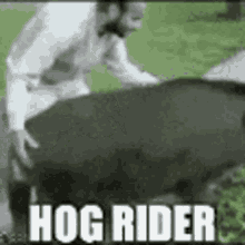 Hog Meme GIF - Hog Meme Impact GIFs