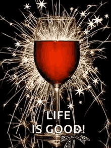 Celebrate Sparkling GIF - Celebrate Sparkling Wine GIFs
