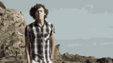 one direction 1d harry styles one direction 1d harry styles