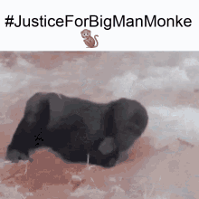 bigmanmonke justice free lukeafk slade