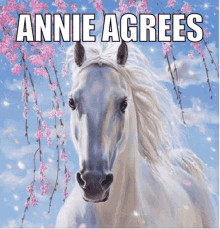 Horse Annie GIF - Horse Annie GIFs