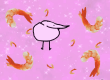 berd berd