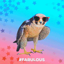 Falcon Fabulous GIF - Falcon Fabulous Absolutely GIFs